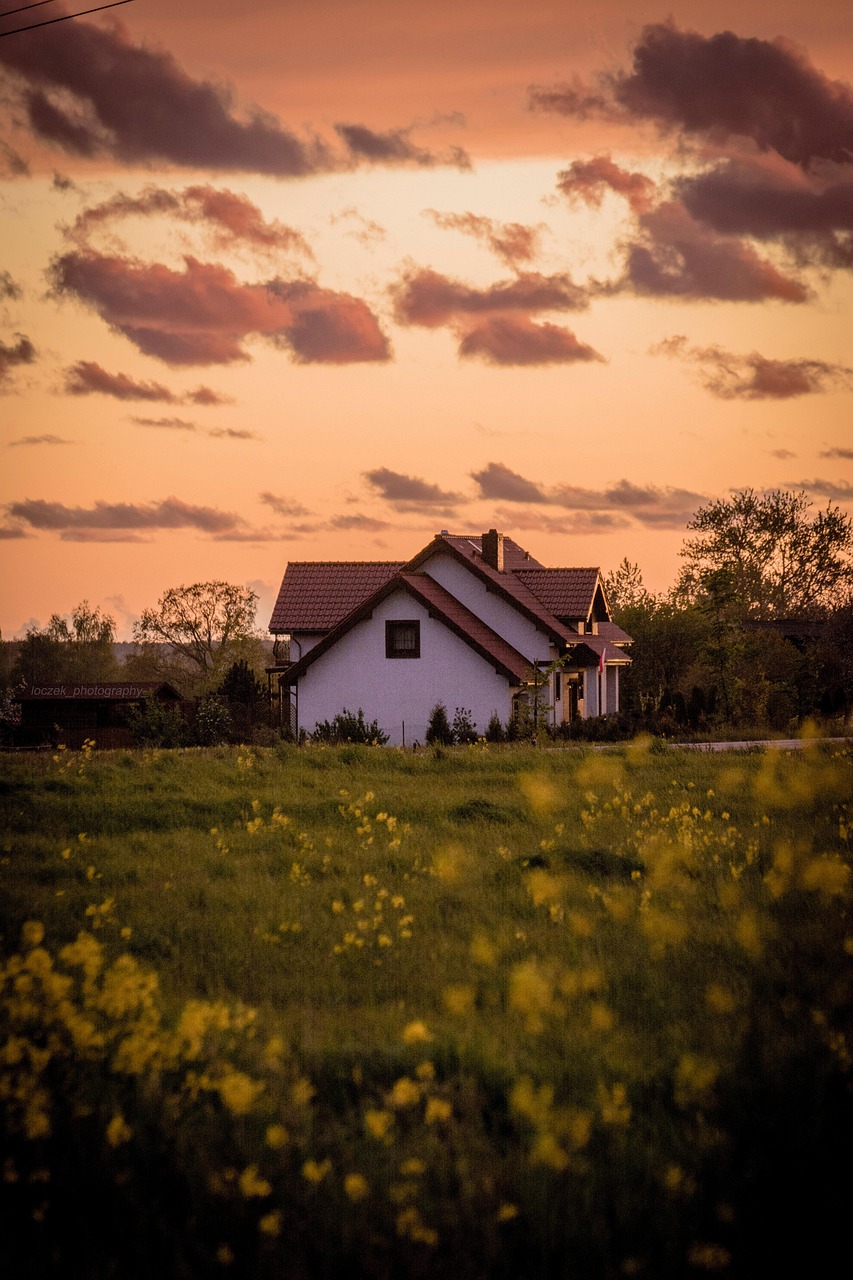 house, meadow, flower wallpaper, grass, flowers, beautiful flowers, home, building, spring, field, nature, flower background, sky, clouds